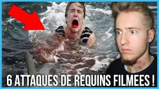 6 ATTAQUES DE REQUINS LES PLUS CHOQUANTES FILMÉES EN DIRECT ! 1 5dRIV8