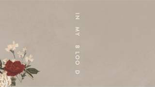 Shawn Mendes "In My Blood" (Audio) 1 Eh0CLX