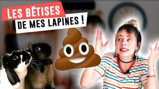 Les bêtises de mes lapines 💩 / Avoir un lapin #14 1 HwU2I3