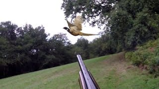 Chasse au faisan saison 2015/2016 - GoPro HERO 3+ 1 ITSDQk