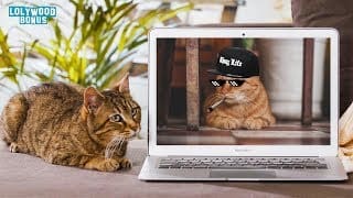 Comme chien et chat - Le Making-Of 1