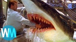Top 10 des ATTAQUES de REQUIN les plus TERRIFIANTES ! 1 PXrvAo