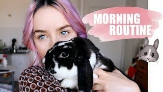 MORNING ROUTINE ANIMAUX | Avoir un lapin #11 1 gD9Z1W