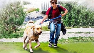 Un Labrador pour Meilleur Ami - Film COMPLET en Français (Film pour Enfants et Famille) 1 uMcUEN
