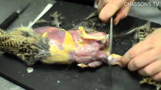 Comment préparer un faisan en 3 minutes ? - Les T&A de Chassons TV (n°36) 1 uOdFXc