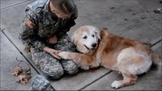 Quand les Soldats retrouvent leur Chien 1 2Frn1c