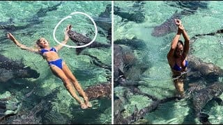 L'instagrameuse Katarina Zarutskie mordue par un requin en pleine séance photo 1 2yg2Si