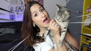 JE TESTE L'INTELLIGENCE DE MON CHAT ! 1 DnskaB