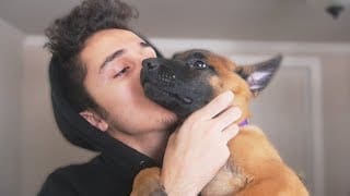 VOICI MON CHIEN ! 1 DuICJQ