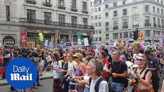 Thousands of anti-Trump protesters rally on Regent Street - Daily Mail 1 LNJ5GH