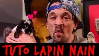 UN LAPIN C'EST VACHEMENT BIEN - TUTO TOOPET 1