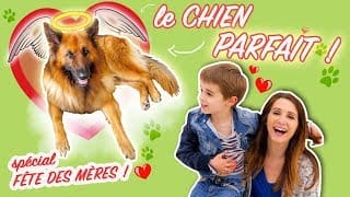 FÊTE DES MÈRES : HUGO M’OFFRE LE CHIEN PARFAIT 😮 - ANGIE LA CRAZY SÉRIE 1 agOeGK