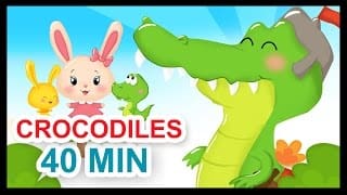 Ah les crocodiles et 40 min de comptines - Titounis 1 lOHtkB