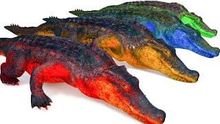 Learn Colors With Crocodile Animal Colours For Children - 3D Cartoon Song Nursery Rhymes 1 1TE0DD