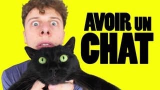 NORMAN - AVOIR UN CHAT 1 7PrfHG