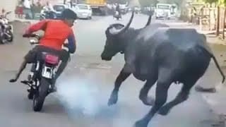 BEST MOTO MOMENTS Vol 5 1 GYbPrg