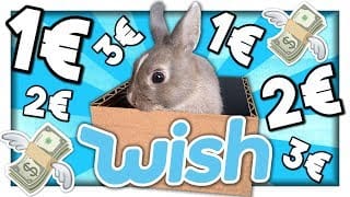 ON A ACHETÉ DES OBJETS WISH POUR NOTRE LAPIN ! 1 9d3gNf