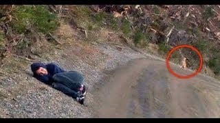 Elle s'est allongée sur la route devant ce chien, l'action derrière son geste réchauffe le coeur 1 CujwvV