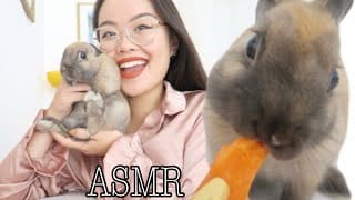 MON LAPIN VOUS FAIT DE L’ASMR 1