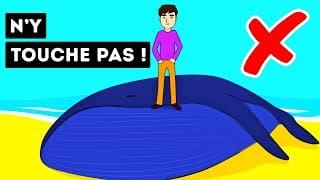 Pourquoi Les Baleines Mortes Sont-elles si Dangereuses ? 1 swTKBQ