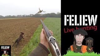 Chasse au faisan au chien d'arrêt: Rencontre Saint Hubert 2014 1 wyRP82