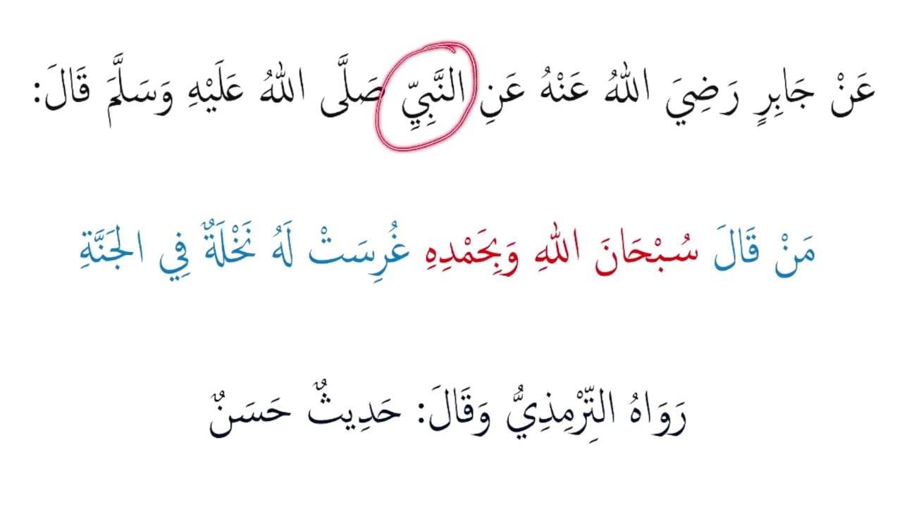 Leçon d'arabe 35: Récite ce dhikr pour avoir un palmier au Paradis