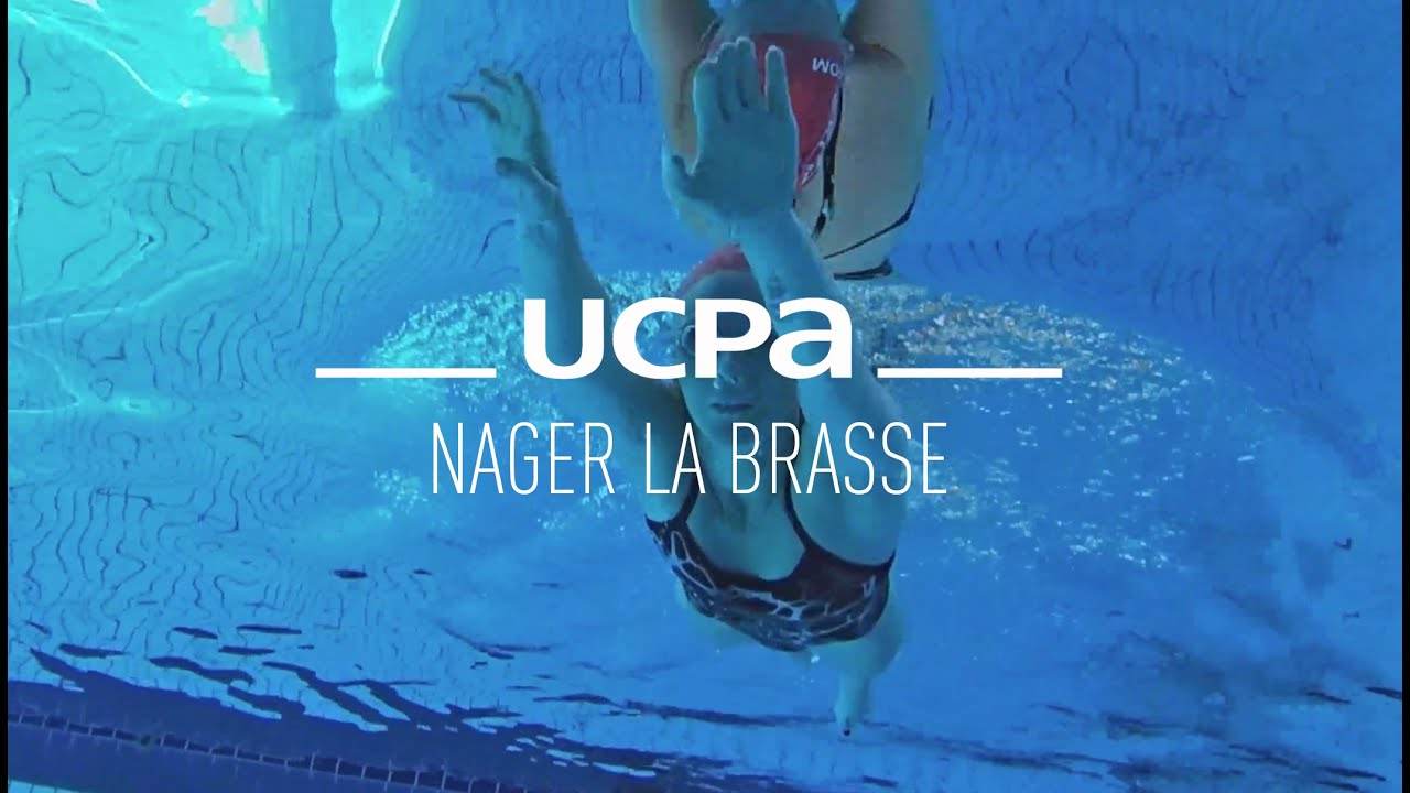 Comment Nager La Brasse Sans Se Fatiguer