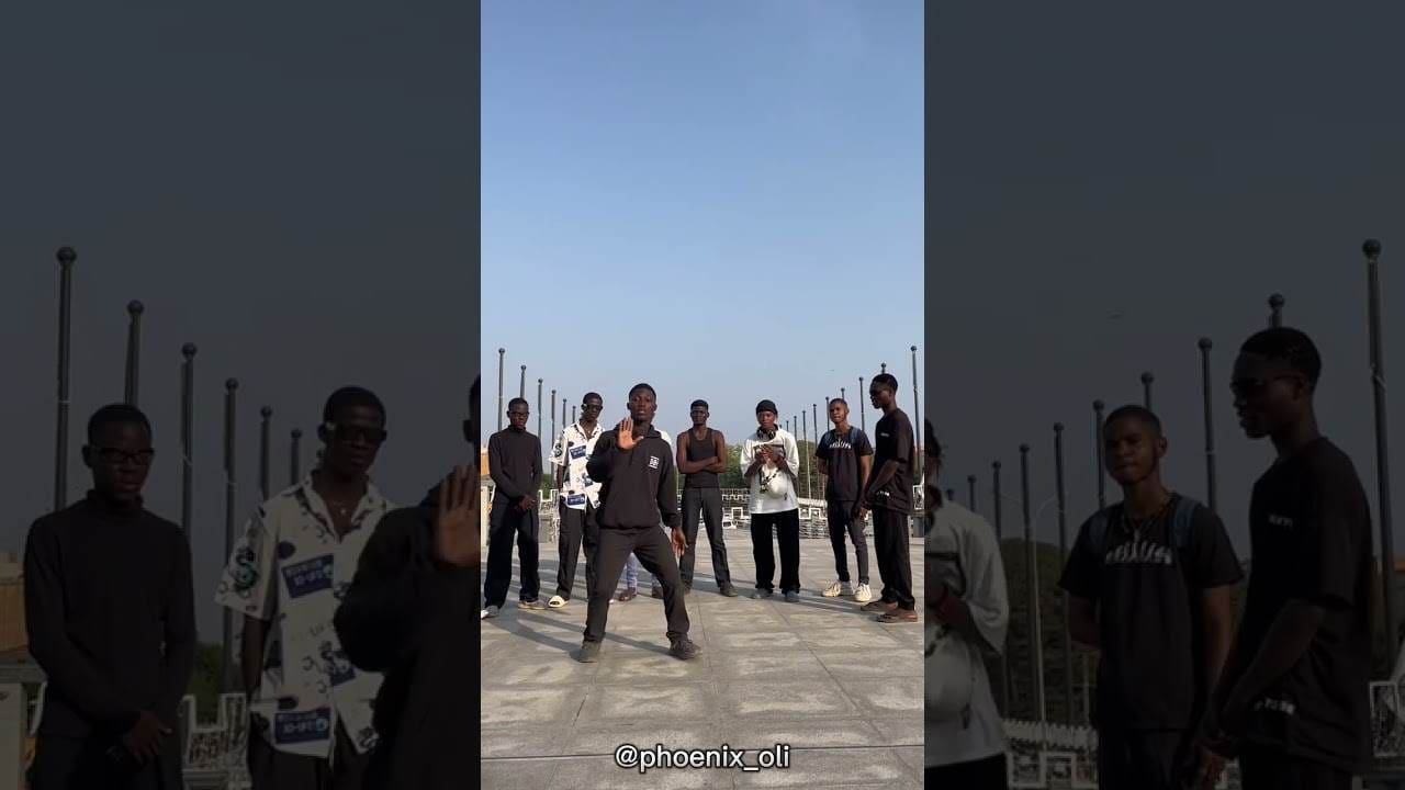 TOOFAN - C’EST PAS NORMAL [ Dance tutoriel] - VideoTutoriels